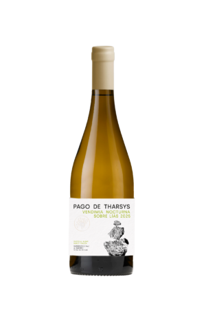 PAGO DE THARSYS | VENDIMIA NOCTURNA ALBARIÑO 2025