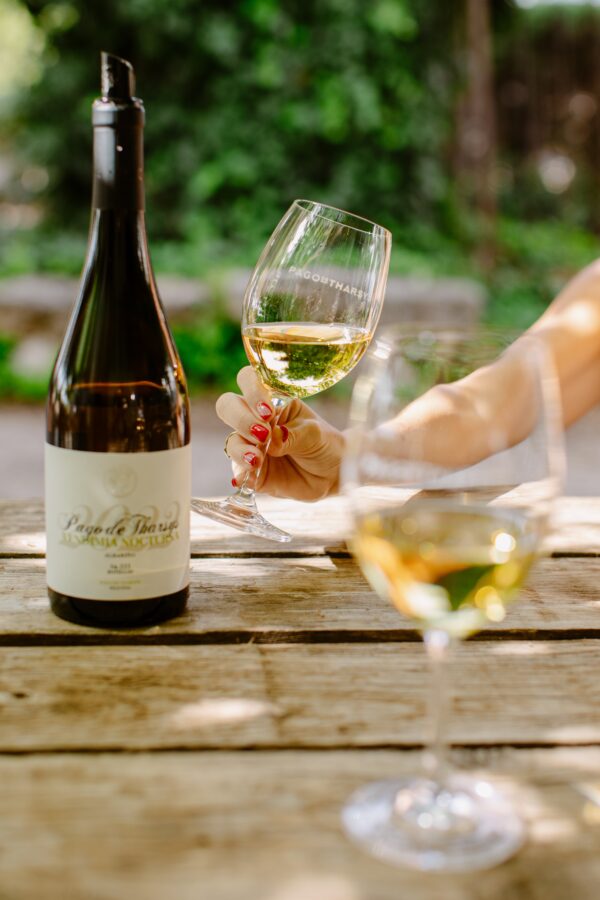VENDIMIA NOCTURNA ALBARIÑO 2024 - Imagen 3