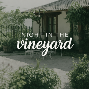 NIGHT IN THE VINEYARD
