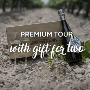 PREMIUM TOUR WITH GIFT FOR TWO