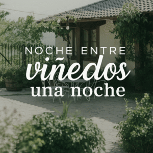 UNA NOCHE ENTRE VIÑEDOS