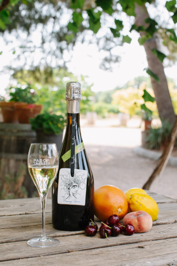THARSYS ÚNICO RESERVA 2019 - Image 2