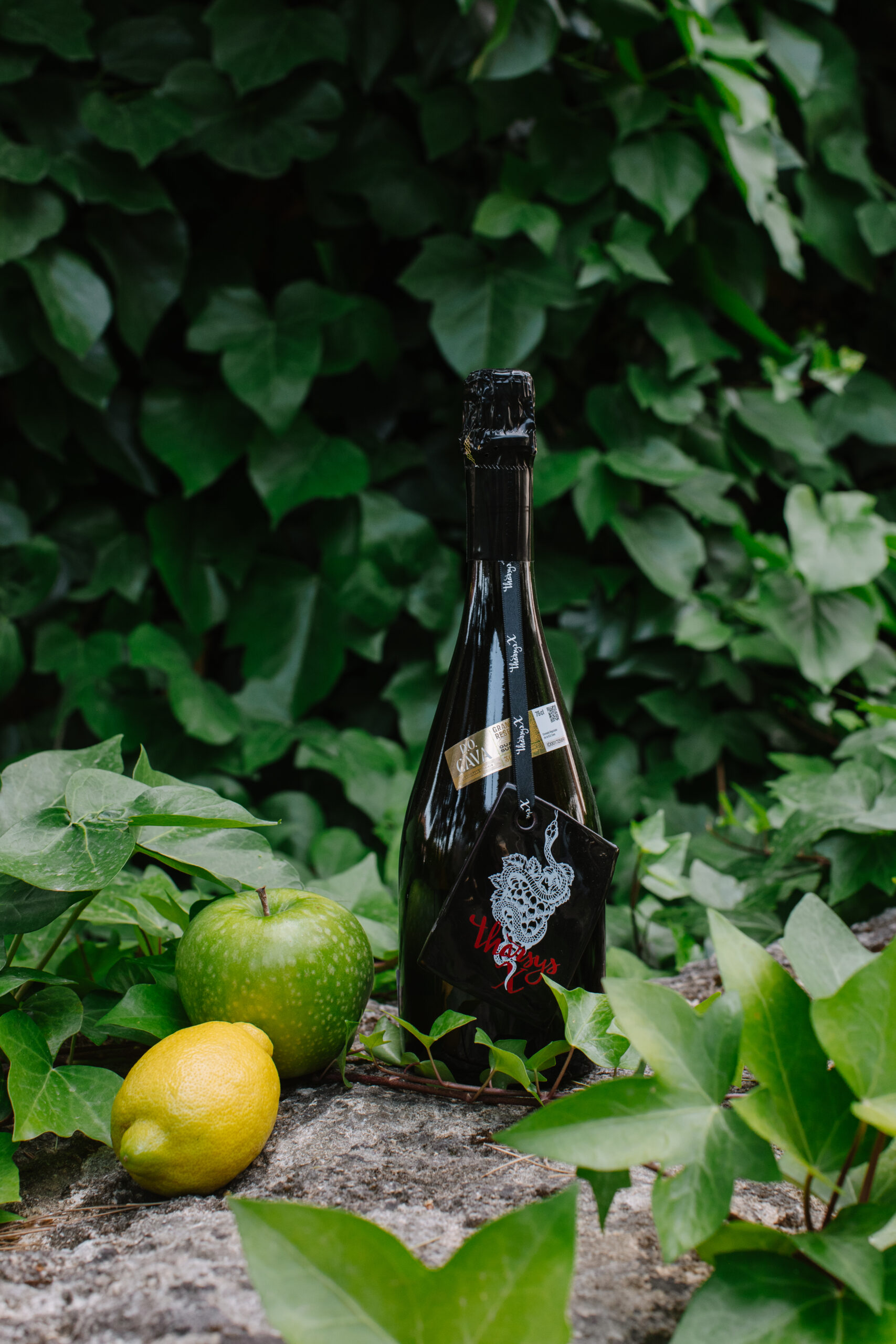 THARSYS X BRUT NATURE XARE·LO 2019 - Imagen 3