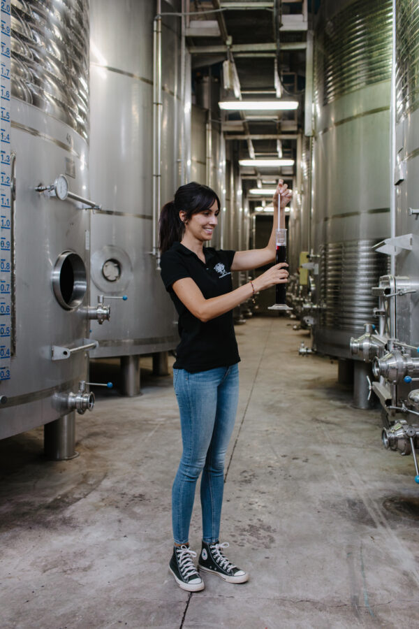 PDT CABERNET FRANC WITHOUT SULPHITES 2024 - Image 2