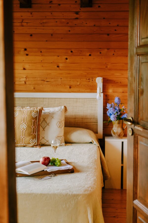 TWO NIGHTS IN THE VINEYARD - Image 2