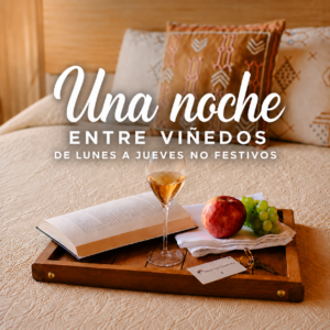 UNA NOCHE ENTRE VIÑEDOS