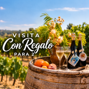 VISITA PREMIUM CON REGALO PARA DOS
