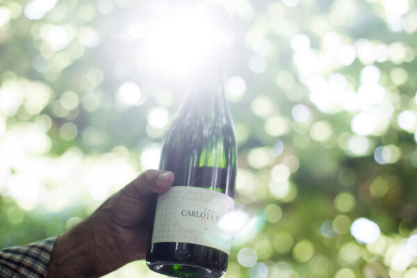 CARLOTA SURIA BRUT RESERVA ECOLÓGICO - Image 2