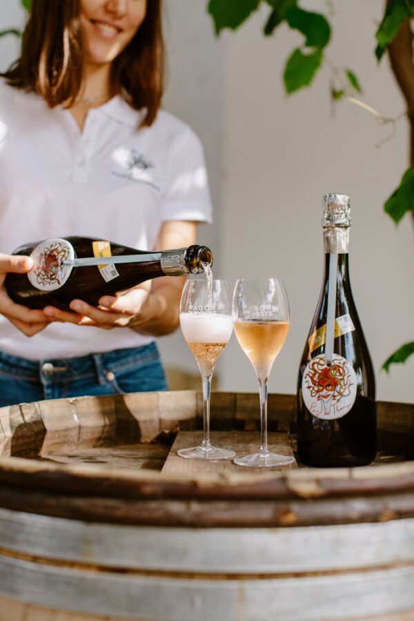 EXCLUSIVE WINE TOUR - Image 2