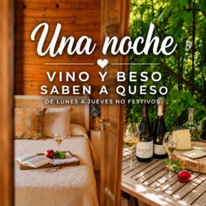 VINO Y QUESO SABEN A BESO (1 NOCHE)