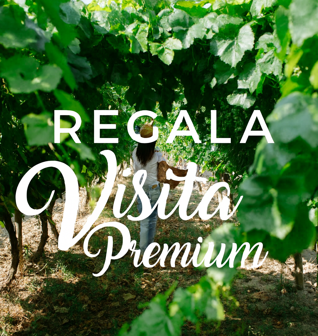 REGALA VISITA PREMIUM