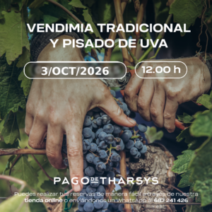 VENDIMIA Y PISADO DE UVA TRADICIONAL 2026