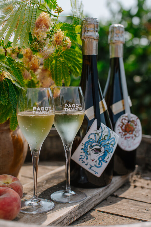 MAESTROS DEL CAVA: VISITA & CATA - Imagen 3
