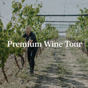 PREMIUM WINE TOUR IN ENGLISH