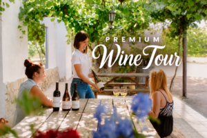 PREMIUM WINE TOUR IN ENGLISH